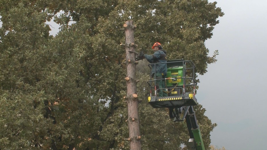 Nemajú kde postaviť autá, no zelene sa vzdať nechcú. Prešovčanom stromy pred domom nahradí parkovisko