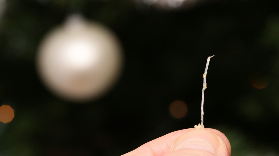 Uviazla vám kosť z vianočného kapra v hrdle? Nepanikárte, takto máte postupovať