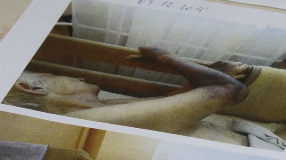 Starenka mala otrasné preležaniny. Teraz sa sporia, kto za to môže