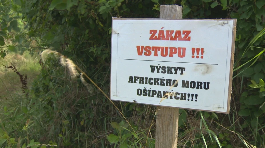 V najväčšom slovenskom okrese sa šíri africký mor ošípaných. Pribúdajú obce so zákazom vstupu do lesa