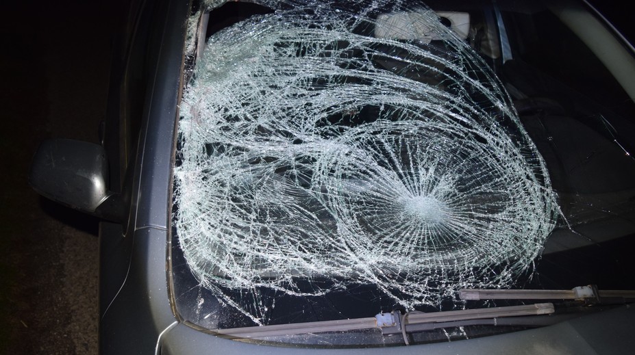 Mladík z južného Slovenska si išiel zabehať, teraz bojuje v nemocnici o život