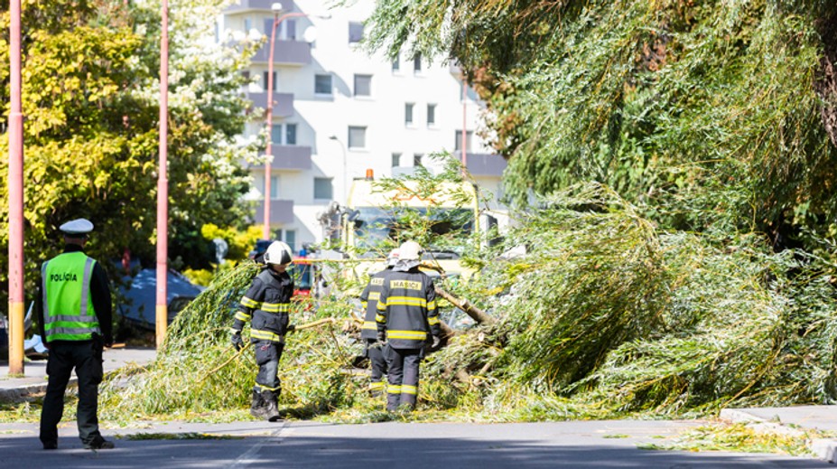 Mortimer už slabne. Na svedomí má však tri obete