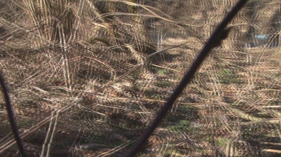 Hra s ohňom sa skončila tragédiou. Tri deti z Bukoviec utrpeli popáleniny, dievča je v kritickom stave