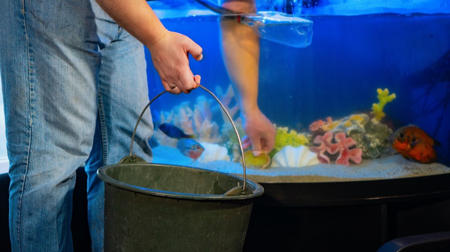 Mimoriadne nezvyčajná infekcia u ľudí. Muž sa nakazil rybou tuberkulózou, mohol za to bežný zlozvyk