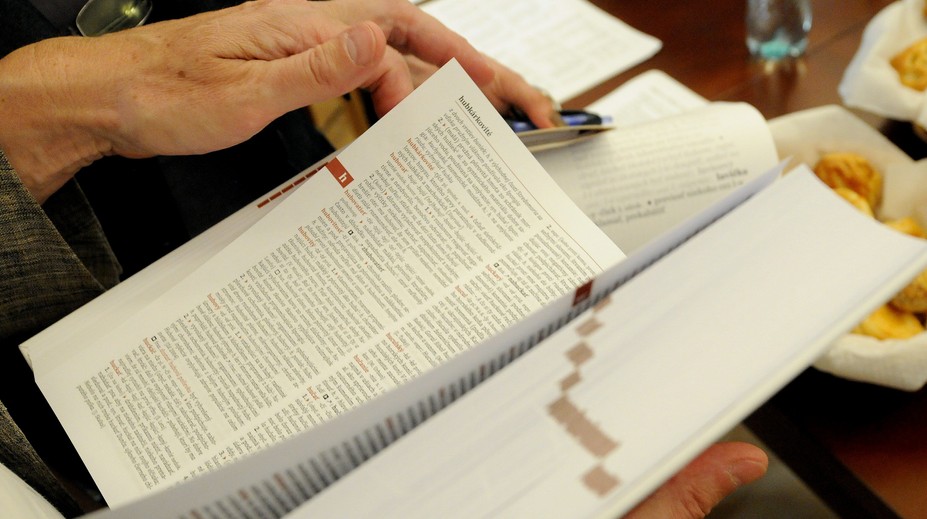 Jazykovedci zmenili význam slova „láska“. Už to nie je „náklonnosť jedného pohlavia k druhému“