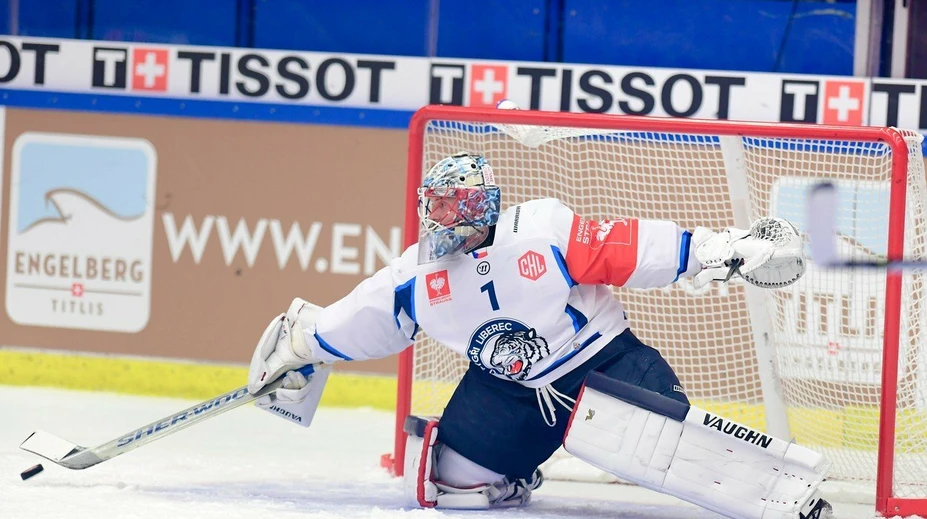 Janus aj Bližňák si hľadajú nový klub, Liberec s nimi už nepočíta