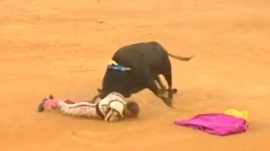 VIDEO: Hororový útok býka. Toreádor má poškodené tepny a takmer 30-centimetrové rany