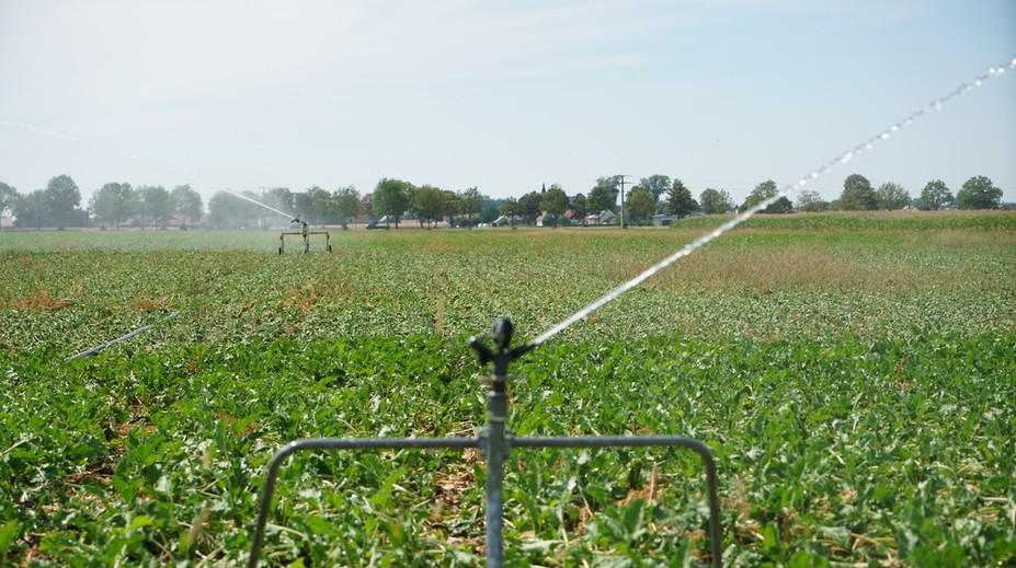 Situácia sa zhoršuje. Európa sa otepľuje najrýchlejšie zo všetkých kontinentov
