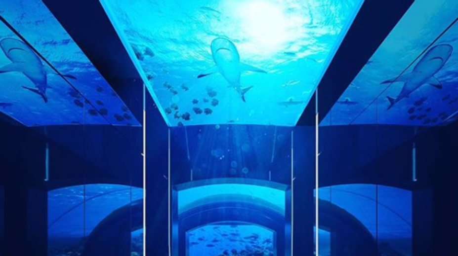 Na Maldivách otvoria apartmán pod hladinou mora. Pozrite sa, ako to tam bude vyzerať