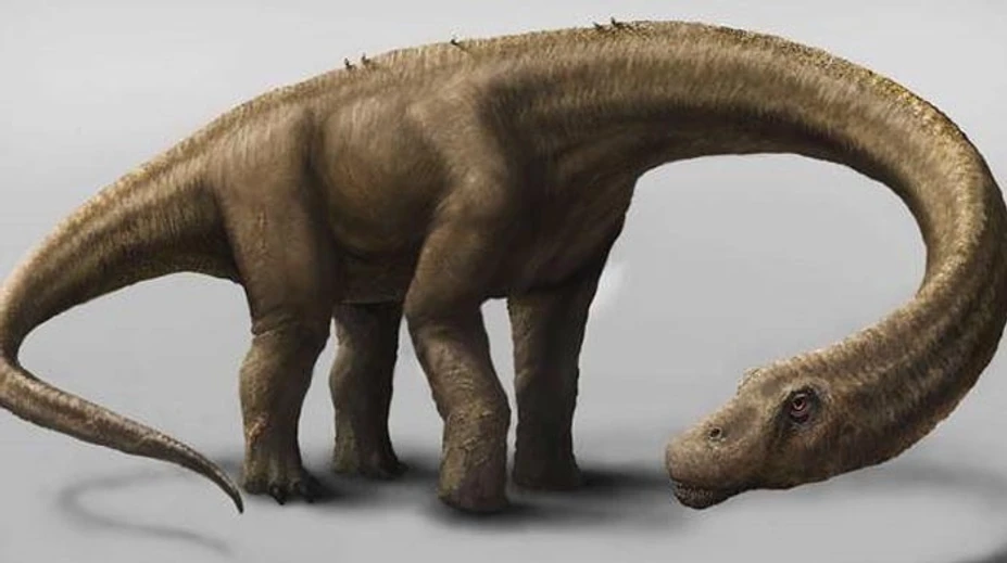 Na škótskom ostrove Skye objavili vzácne stopy dinosaurov
