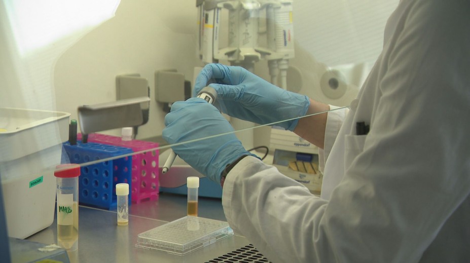 Slovensko sa môže popýšiť unikátom. Za bránami SAV sídli jediné akreditované medové laboratórium v EÚ