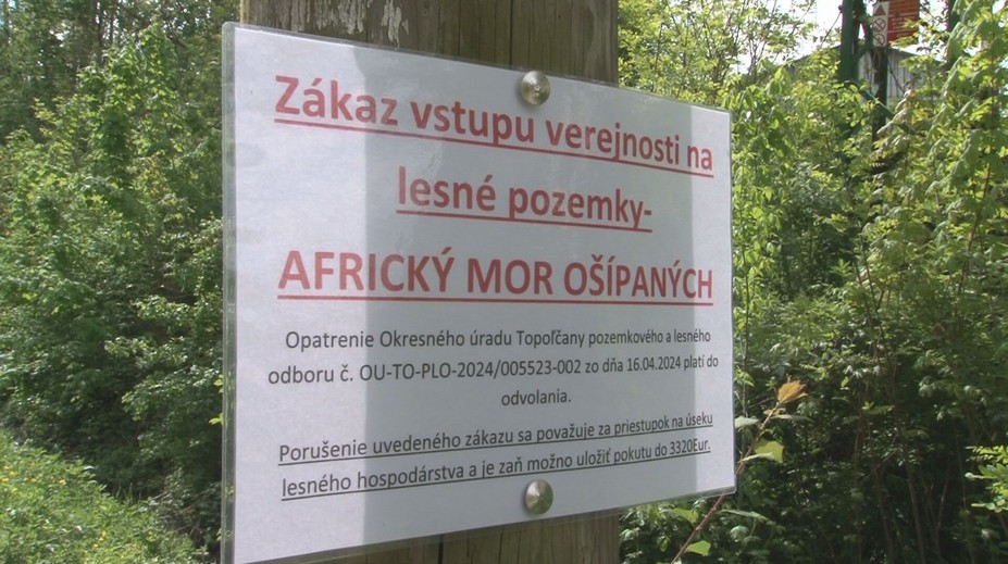 Africký mor ošípaných postupuje. Obce rušia akcie a na lesných cestách hliadkujú policajti