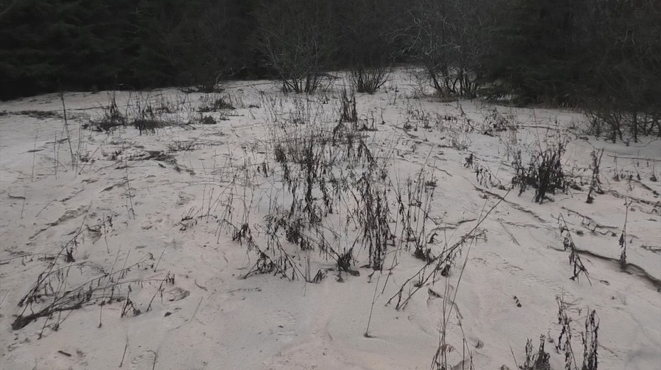 Mesiace po tragédii sú na dne Liptovskej Mary nebezpečné kaly. Dá sa v nej kúpať?