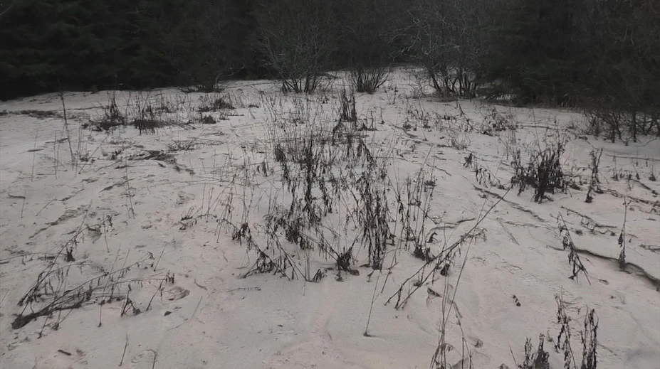 Mesiace po tragédii sú na dne Liptovskej Mary nebezpečné kaly. Dá sa v nej kúpať?
