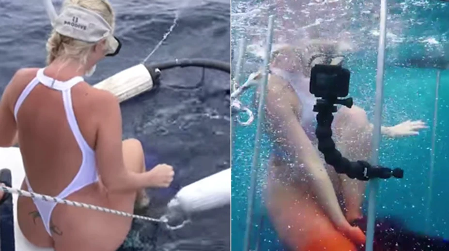 Pornohviezda skočila medzi žralokov. Zaliala ju krv