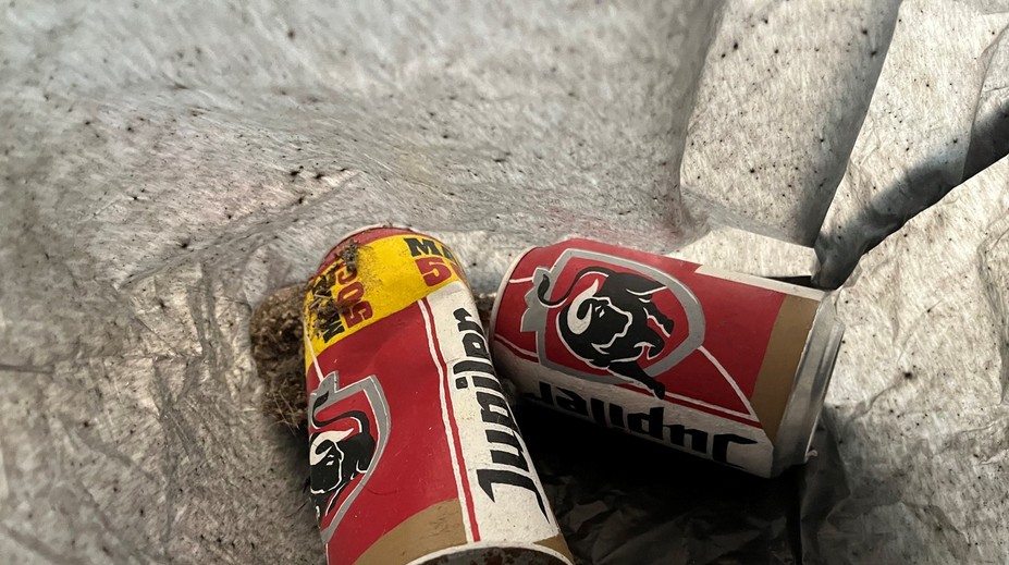 Nový zamestnanec múzea vyhodil exponát do koša. Myslel si, že sú to odpadky