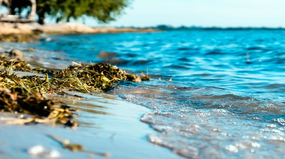 Nepríjemnosti na plážach Čierneho mora: Pobrežie zaplavili zapáchajúce riasy