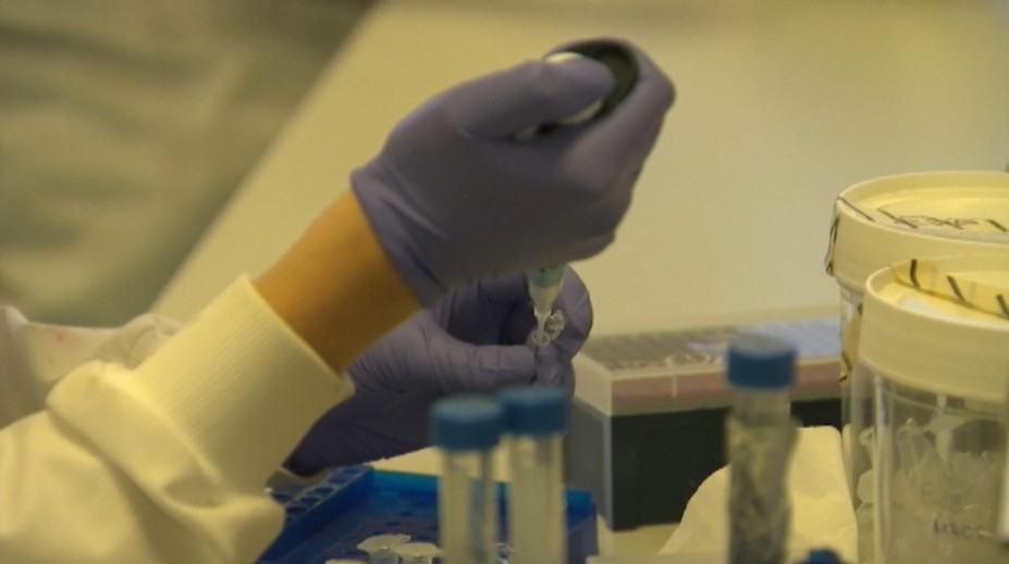 Slovenskí vedci objavili nový proteín, ktorý opravuje poškodenú DNA