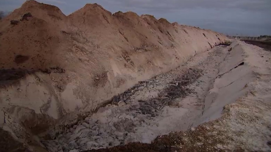 Norky, ktoré v Dánsku vyhubili pre strach zo zmutovaného koronavírusu, "vyliezajú" z hrobov