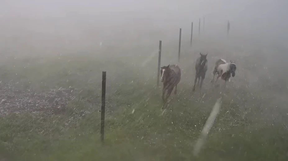 Jazdecká škola v Závadke sa po búrke stala terčom osočovania. Nepoznáte kone, reaguje majiteľka