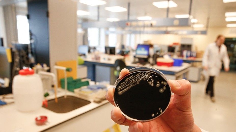 Talianov vystrašila epidémia legionárskej choroby, hlásia aj mŕtvych. Ako je na tom Slovensko?