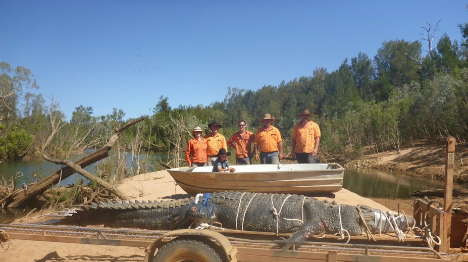 Chytili legendárneho krokodíla, ktorý unikal 10 rokov