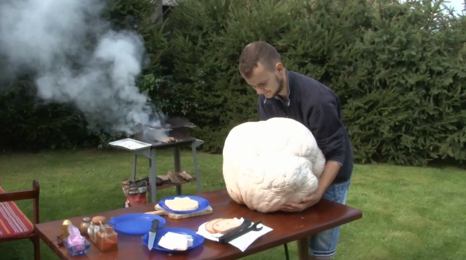 Adam našiel v lese obrovského vatovca