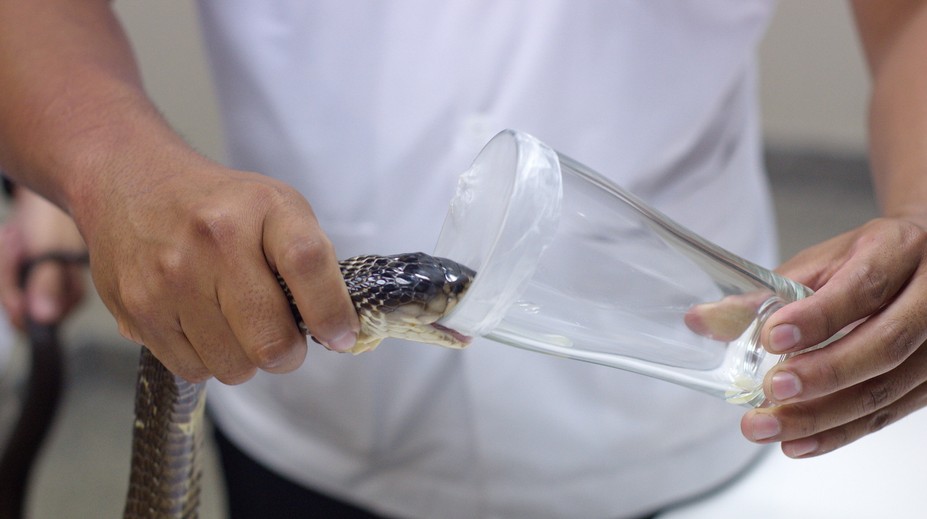 Štúdia vedcov vzbudzuje strach. Ľudia by v budúcnosti mohli produkovať jed