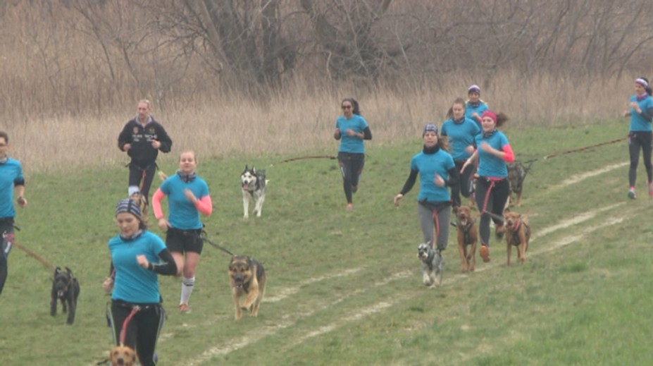 Chcete schudnúť do plaviek? Pomôže vám rodinný miláčik