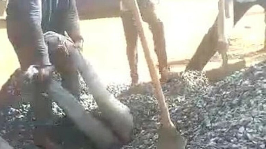 VIDEO: Chvíle hrôzy na stavenisku. Muža na tri minúty zaživa pochoval vysypaný štrk