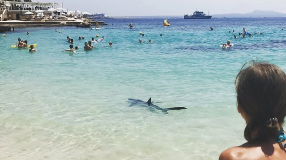 Vydesení turisti na Malorke. Vystrašil ich dvojmetrový žralok