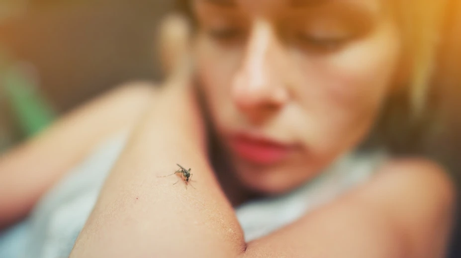Boj s komármi sa opäť začína. Poradíme vám, ako sa ich zbavíte v dome i záhrade