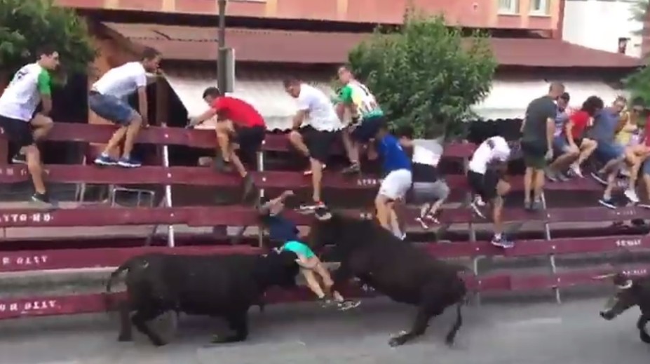 VIDEO: Zábery len pre silné povahy. Dvojica býkov doslova rozniesla muža