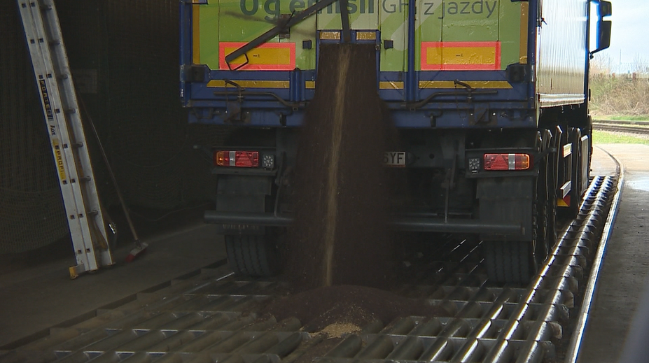 „Žlté zlo“ má zachrániť našu sebestačnosť. Repka olejná už nebude končiť v motoroch áut