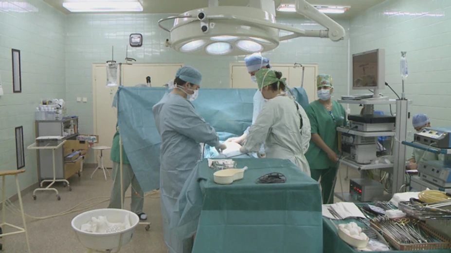Prelom v transplantáciách: Vedci dokázali dočasne napojiť prasaciu obličku k telu zosnulého