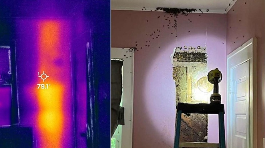 Dievčatko (3) rodičom mesiace vravelo, že má v stene strašidlá. Najprv jej neverili, potom takmer odpadli