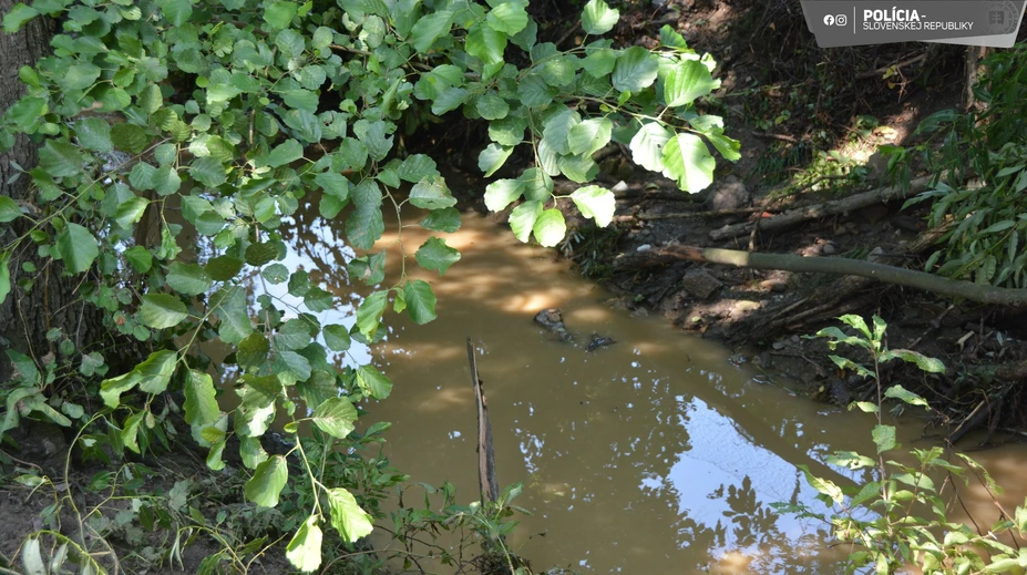 Škody za viac ako 400 miliónov eur. Enviropolícia vzniesla obvinenie v prípade katastrofy na rieke Hron