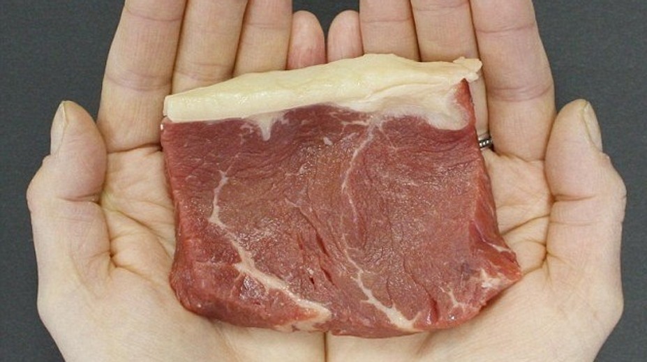 Tajomstvo správneho stravovania odhalené. Toto sú ideálne porcie