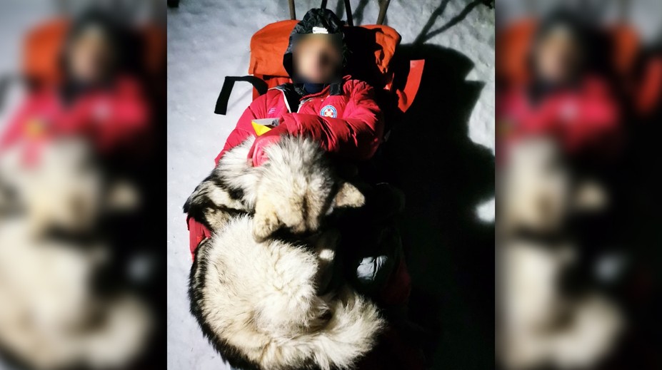 Scéna ako z filmu. Husky 13 hodín vlastným telom zohrieval zraneného horolezca