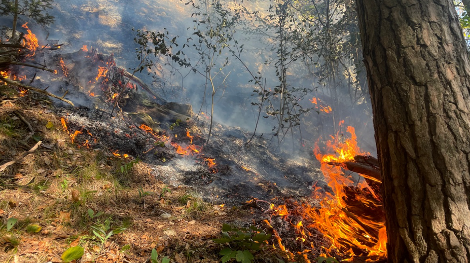Požiar zachvátil v Slovenskom raji lokalitu Jedľov
