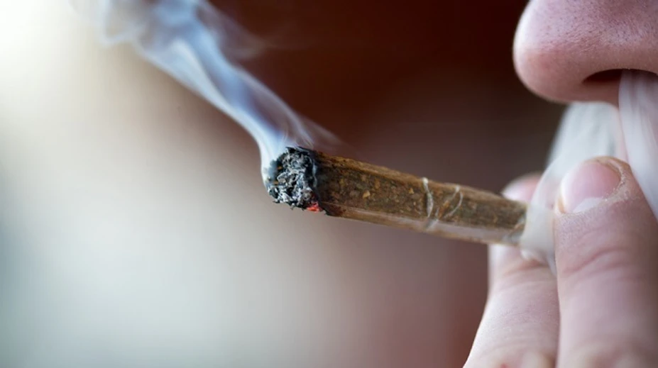 Nemecká vláda schválila legalizáciu marihuany na liečebné účely