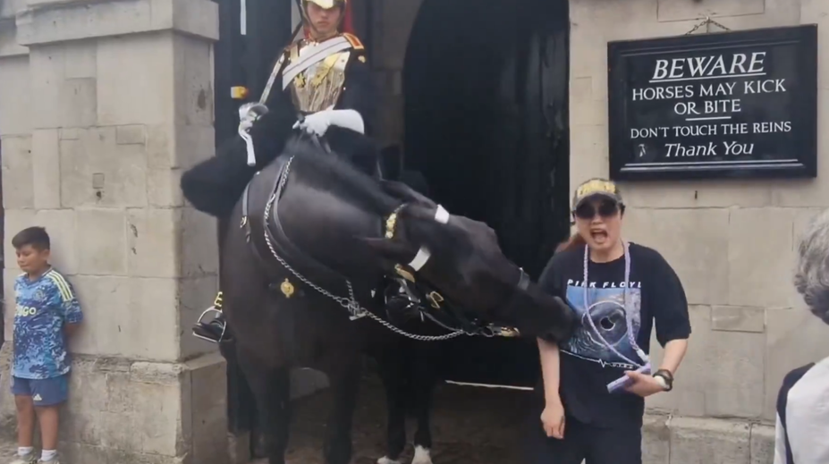 VIDEO: Kôň kráľovskej gardy uhryzol turistku, po chvíli sa zložila k zemi
