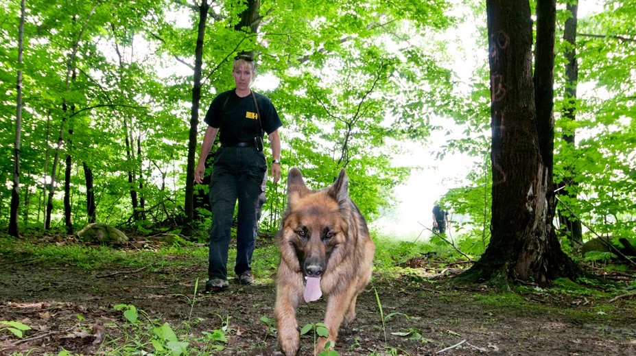 V americkom meste zmizlo za dva týždne takmer 30 detí. Polícia sa obáva, že ide o obchod s ľuďmi