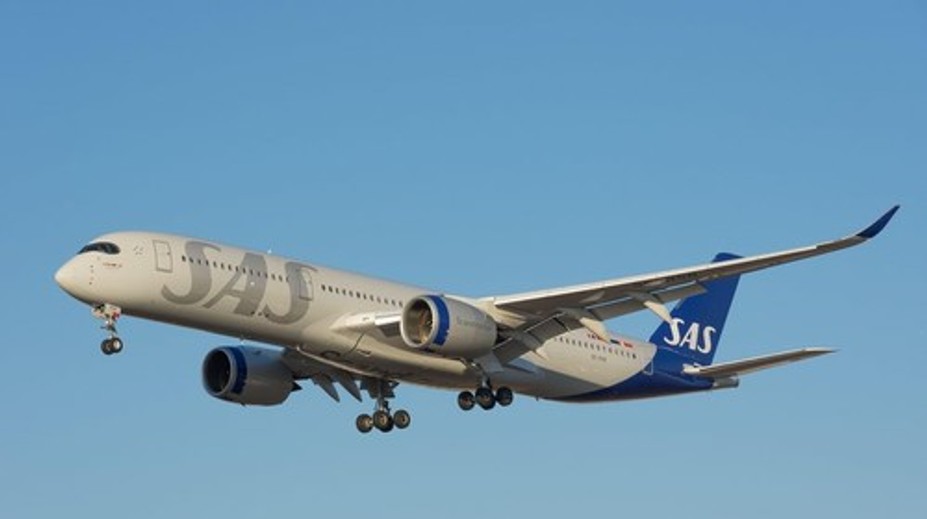 Lietadlo muselo predčasne pristáť. Z podávaného jedla vyskočila myš