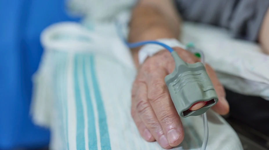 Ďalšia krajina Európy hlási prípady západonílskej horúčky. Za dovolenkou tam cestujú tisíce Slovákov
