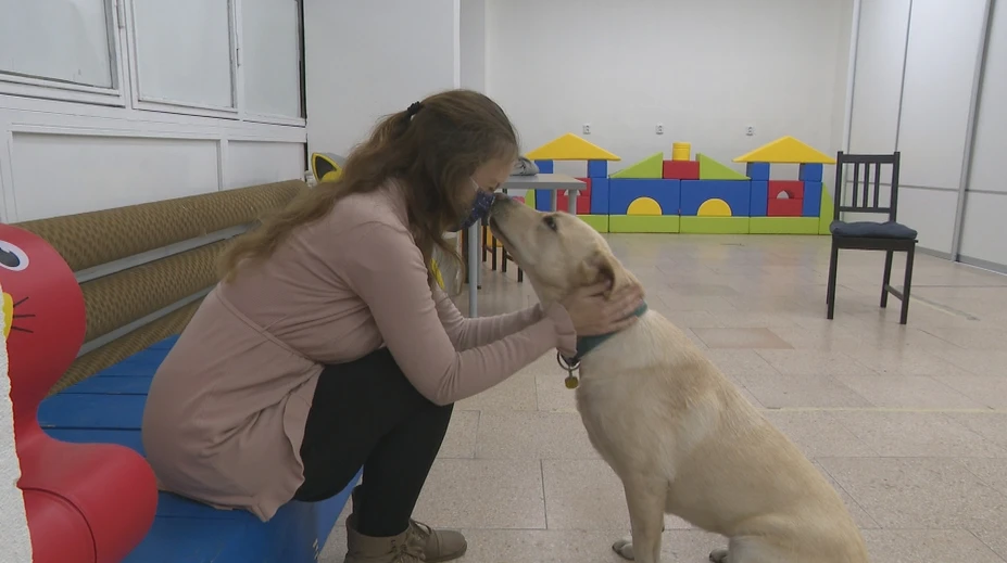 Linda trpí vzácnou fóbiou. Aj keď spĺňa kritériá, štát jej asistenčného psa nepreplatí