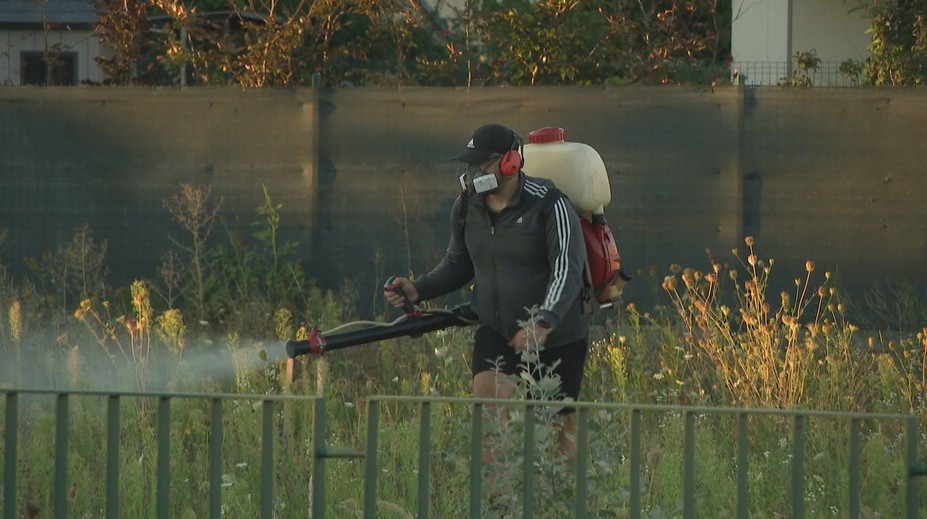 Bratislava mení stratégiu boja proti komárom. Riadiť ju bude manažér regulácie tohto hmyzu