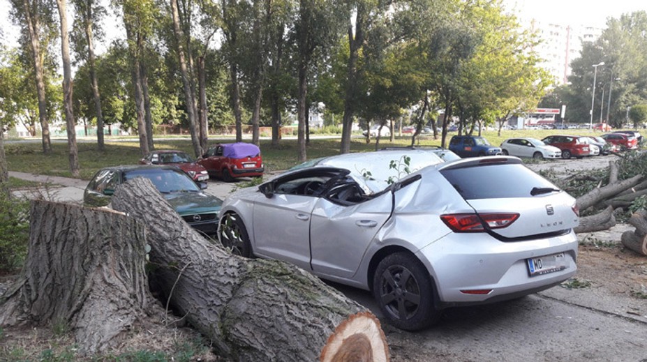 Fotografie od vás: Veterná smršť ničila, čo jej prišlo do cesty