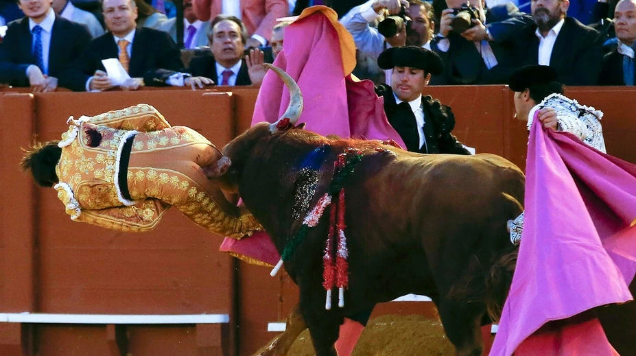 Bolesť, akú ste nevideli. Na veľké prekvapenie to matador rozchodil