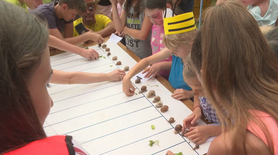 Bizarné preteky mimoriadne potešili deti. V obci pri Sabinove učili šprintovať slimákov